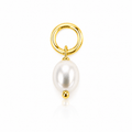 CHARM 45